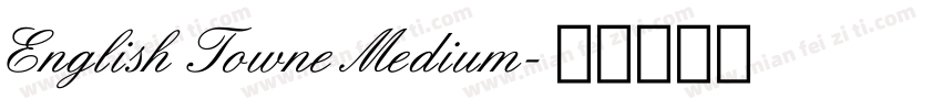 English Towne Medium字体转换